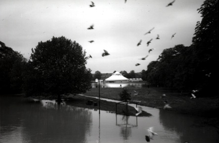 fair tent and seagulls