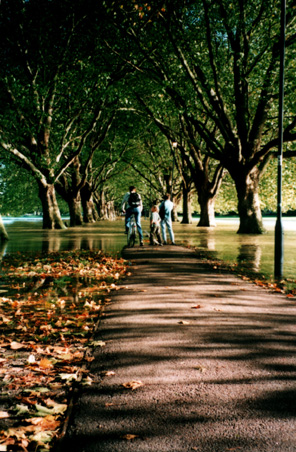 flooded path day