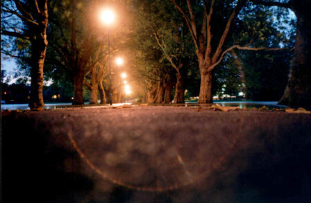 flooded path night