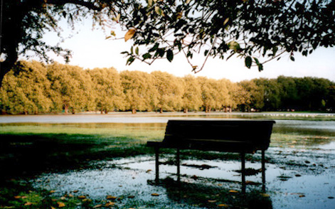 bench