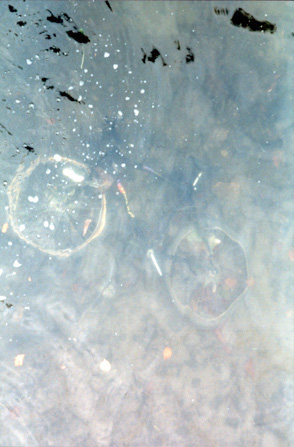 submerged bike