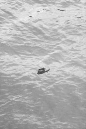 shoe on river