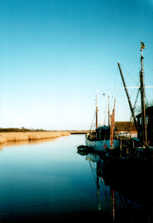 docked boats