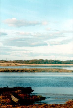 marsh and boat