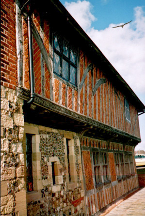 old house and seagull