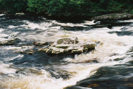 Quartzite outcrock in River Leven, Kinlochleven