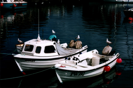 boats in padstow