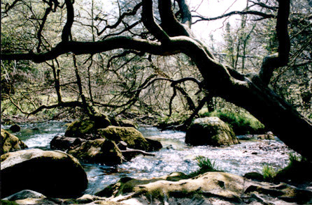 golitha falls