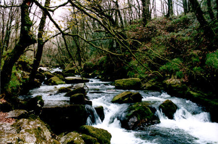 golitha falls