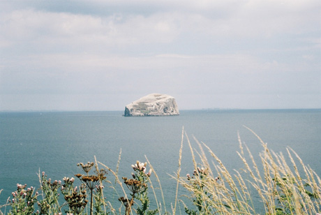 bass rock