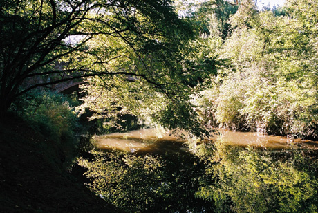 bridge, near horsham