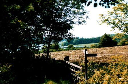 gate post, ardingly reservoir