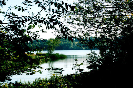 ripples, ardingly reservoir